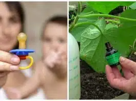Un bebeluș de o lună, în stare gravă la spital. Mama i-a picurat verde de briliant pe suzetă, la indicația pediatrului | Demamici.ro