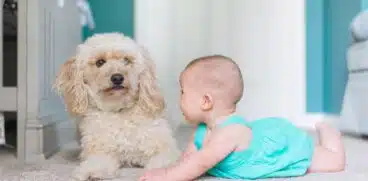 Ce animal de companie alegi pentru copilul tău în funcție de vârstă? Sfaturi pentru a lua decizia corectă | Demamici.ro