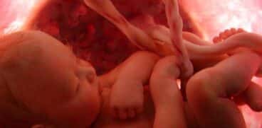 Bebelușii pot plânge și în burta mamei. Cercetătorii au studiat ce le poate declanșa suferința | Demamici.ro