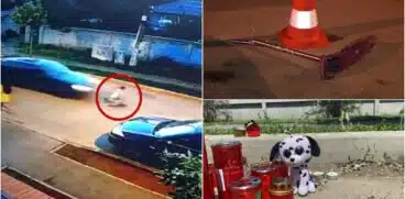 Filmul complet al tragediei din Buftea. Băiețel de 4 ani, pe trotinetă, spulberat de o mașină sub privirile mamei. În vehicul se afla și fratele băiatului | Demamici.ro