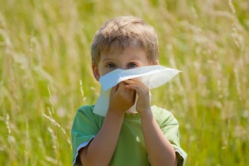 Sindromul de alergie la polen-alimente | Demamici.ro