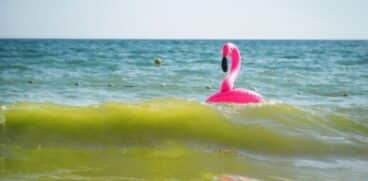 O fetiță lăsată pe o saltea pneumatică în Vama Veche a fost luată de curenți și a plutit până în Bulgaria | Demamici.ro