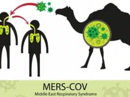 Gripa cămilei sau virusul MERS: simptome, cauze și tratament | Demamici.ro