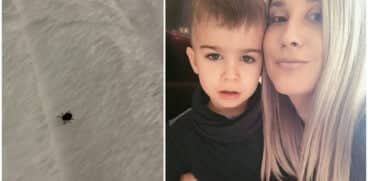 Adda, avertisment pentru toți părinții cu privire la pericolul căpușelor: „Stropiți curțile! Verificați-vă copiii” | Demamici.ro