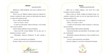 Subiectele de la Evaluarea Națională de clasa a II-a, citire. Ce text și cerințe au primit elevii | Demamici.ro