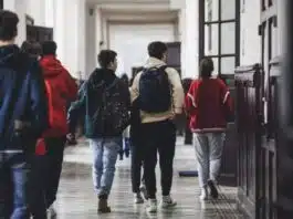 Olimpicii internaționali își pot echivala cu nota 10 probele scrise de la BAC 2023 | Demamici.ro