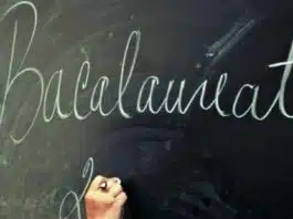 Bacalaureat 2023. Ce trebuie să știe elevii despre desfășurarea examenelor. Actele pe care trebuie să la aibă la ei. Când vor fi afişate rezultatele | Demamici.ro
