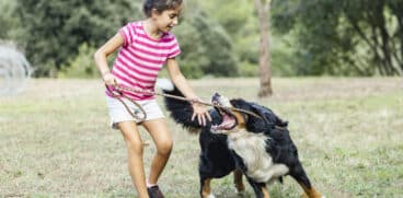 Copilul tău a fost mușcat/ zgâriat de un animal? Ce trebuie să faci | Demamici.ro