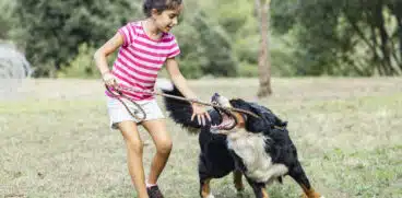 Copilul tău a fost mușcat/ zgâriat de un animal? Ce trebuie să faci | Demamici.ro