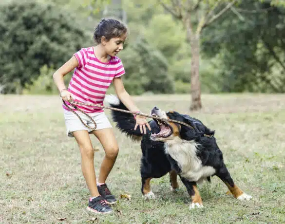 Copilul tău a fost mușcat/ zgâriat de un animal? Ce trebuie să faci | Demamici.ro
