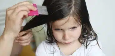 Păduchii la copii. Cum îi ferim de păduchi la grădiniță sau la școală | Demamici.ro