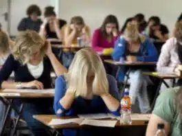 Simulare Evaluare Națională 2024 la Limba și literatura română. Elevii de clasa a VIII-a trec prin emoțiile examenelor | Demamici.ro