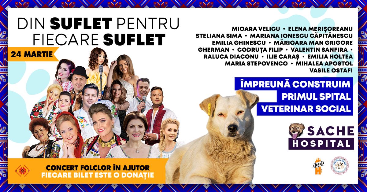 Concert caritabil DIN SUFLET PENTRU FIECARE SUFLET (1)