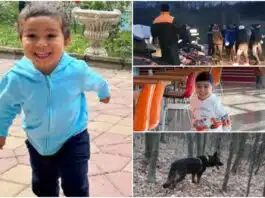 Copil de 2 ani, căutat de 300 de oameni. Băiețelul dispărut din Botoșani, Radu Aryan, are 2 ani | Demamici.ro
