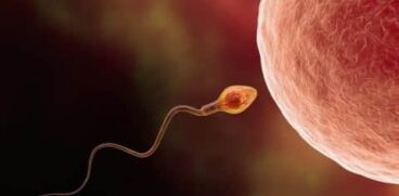 Săptămânile unu și doi de sarcină – Sarcina pe săptămâni VIDEO | Demamici.ro