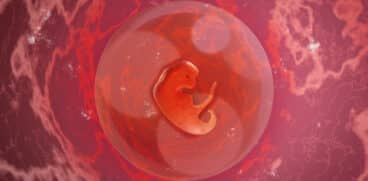 Săptămâna 3 de sarcină – Sarcina pe săptămâni VIDEO | Demamici.ro