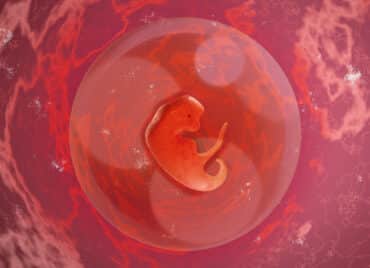 Săptămâna 3 de sarcină – Sarcina pe săptămâni VIDEO | Demamici.ro