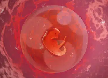 Săptămâna 3 de sarcină – Sarcina pe săptămâni VIDEO | Demamici.ro