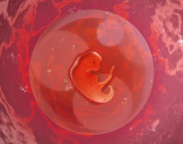 Săptămâna 3 de sarcină – Sarcina pe săptămâni VIDEO | Demamici.ro