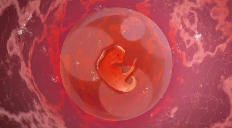 Săptămâna 3 de sarcină – Sarcina pe săptămâni VIDEO | Demamici.ro