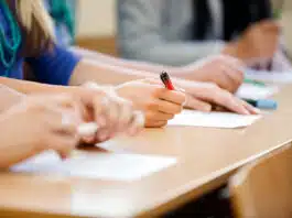 Simulare Bacalaureat 2024 | Proba la alegere a profilului sau specializării. Elevii au avut de ales între 11 discipline | Demamici.ro