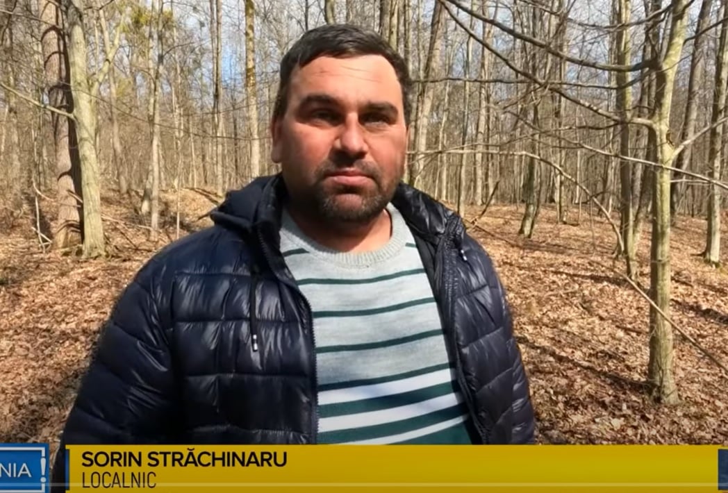 Pe urmele micuțului Radu Aryan, pierdut în pădure, și găsit aproape de mănăstirea Sihăstria: "Stătea după un copac, plângea și striga să vină mama" 