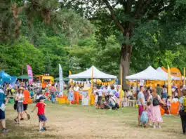 Picnic în Familie by Social Moms – o nouă ediție de succes | Demamici.ro