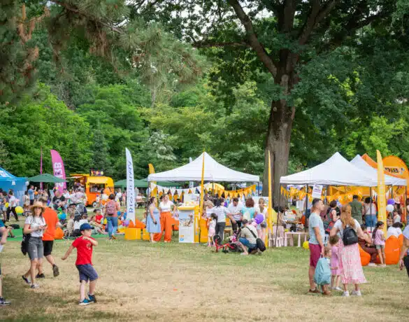 Picnic în Familie by Social Moms – o nouă ediție de succes | Demamici.ro