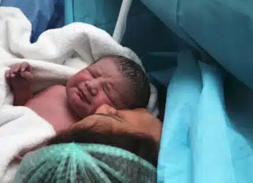 Microchimerismul fetal sau despre fenomenul prin care celulele copilului rămân în corpul mamei chiar și zeci de ani după naștere STUDIU | Demamici.ro